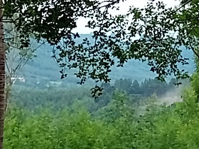 Imagem: Lindíssima Chácara de 8.400 Mts2 em Gramado