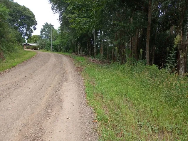 Imagem 5: Lindíssima Chácara de 8.400 Mts2 em Gramado
