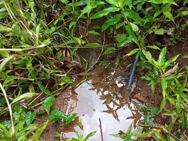 Imagem 8: Lindíssima Chácara de 8.400 Mts2 em Gramado