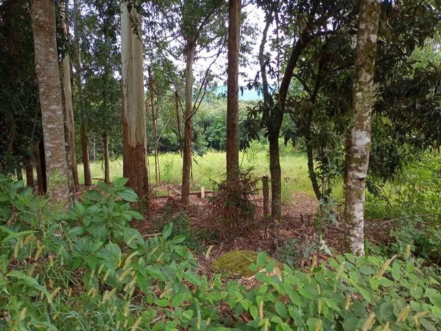 Imagem 10: Lindíssima Chácara de 8.400 Mts2 em Gramado
