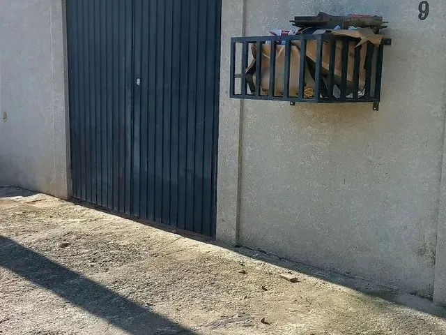 Imagem: Alugo Casa