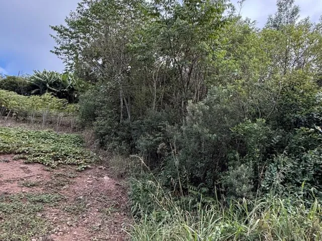 Imagem 3: Terreno - Carlos Barbosa