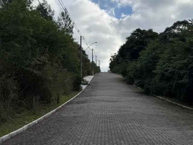 Imagem 2: Terreno - Carlos Barbosa