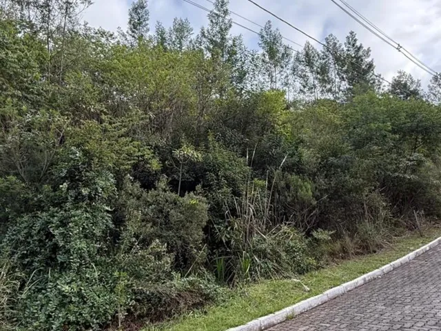 Imagem 6: Terreno - Carlos Barbosa