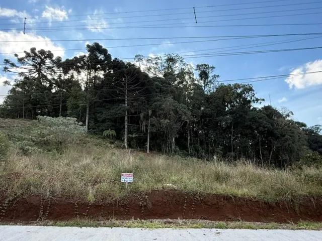 Imagem: TERRENO - CARLOS BARBOSA