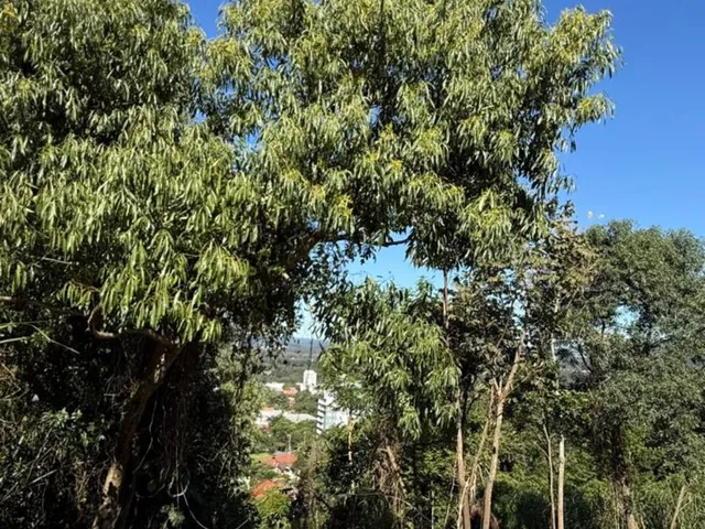 Imagem: Terreno - Feliz
