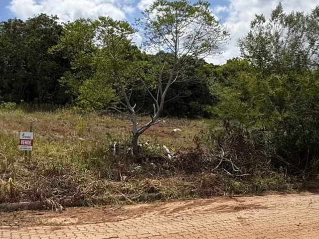 Imagem: Terreno - Feliz