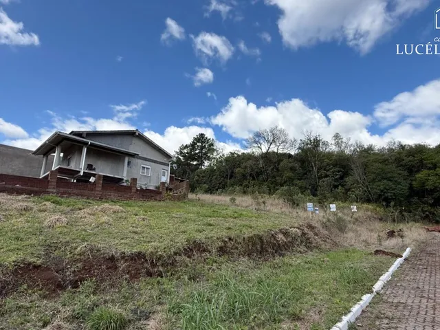 Imagem: Terreno - Feliz