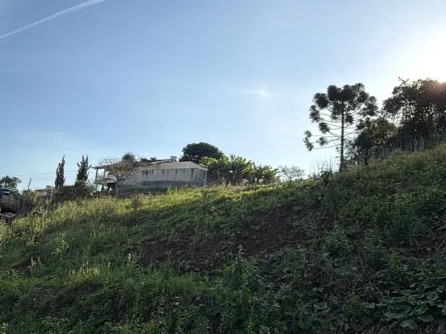 Imagem: Terreno - Feliz