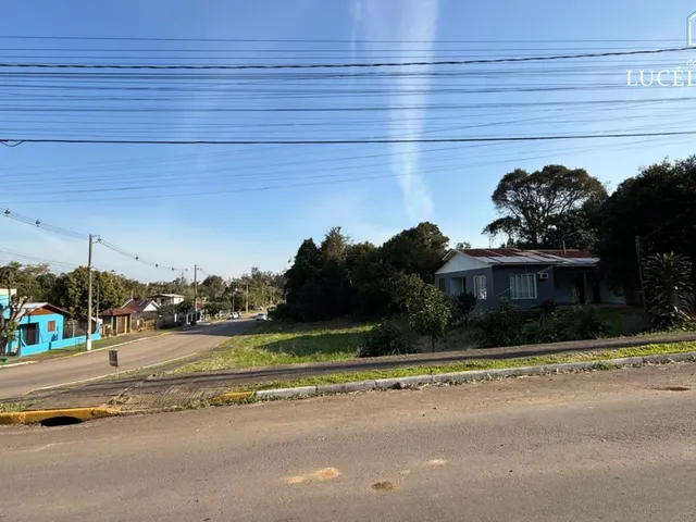 Imagem: Terreno - Feliz