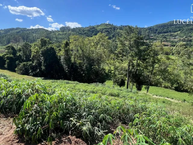 Imagem: Terreno - Feliz
