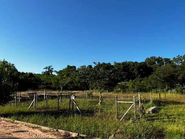 Imagem: Terreno - Feliz