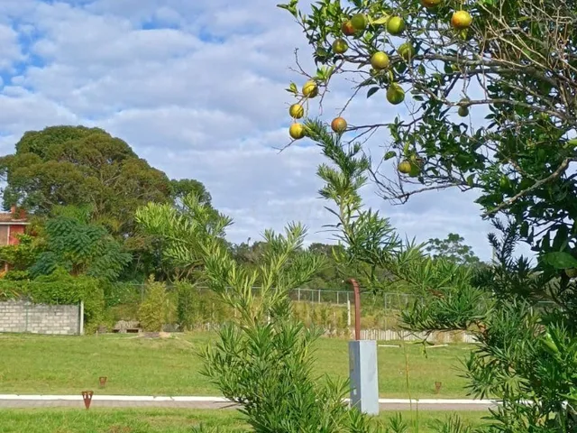 Imagem 15: Terreno em Condomínio Docas Do Rosa com localização privilegiada