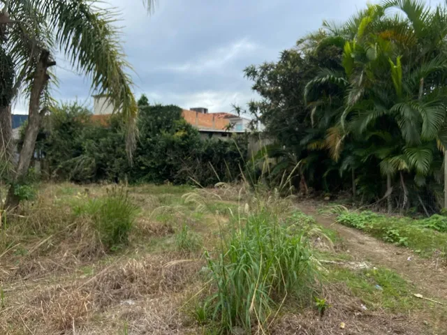 Imagem 11: Terreno À Venda em Garopaba-Sc, Bairro Palhocinha, com 478,79 M² de Área - a Oportunidade Que Você Estava Procurando!
