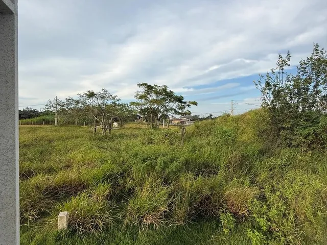 Imagem 16: Terreno à venda em Garopaba-SC, bairro Campo Duna - 360,00 m² de área