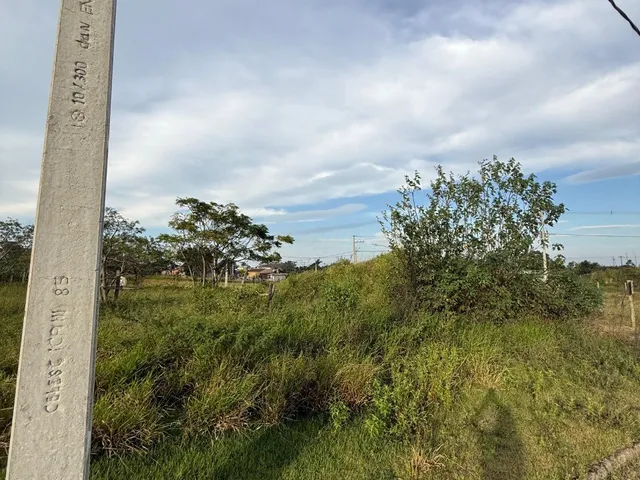 Imagem 8: Terreno à venda em Garopaba-SC, bairro Campo Duna - 360,00 m² de área