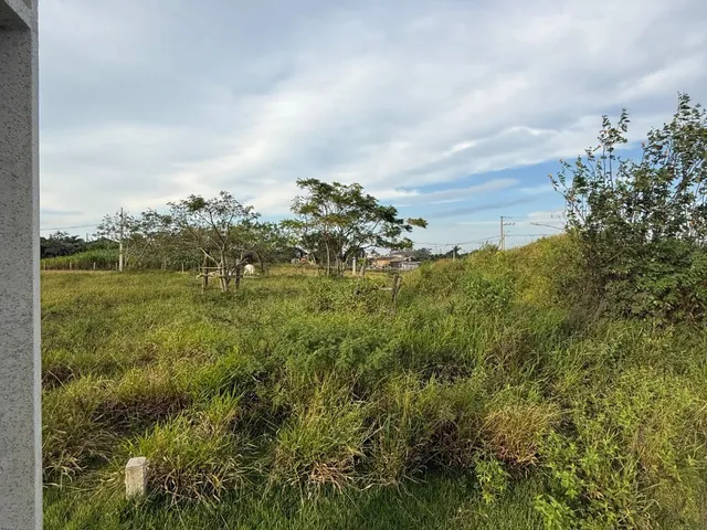 Imagem 15: Terreno à venda em Garopaba-SC, bairro Campo Duna - 360,00 m² de área