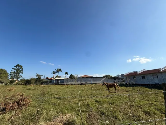 Imagem: Terreno à venda em Garopaba-SC, bairro