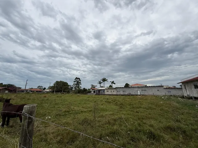 Imagem 12: Terreno à venda em Garopaba-SC, bairro Campo Duna, 456m² de área. Venha conhecer!