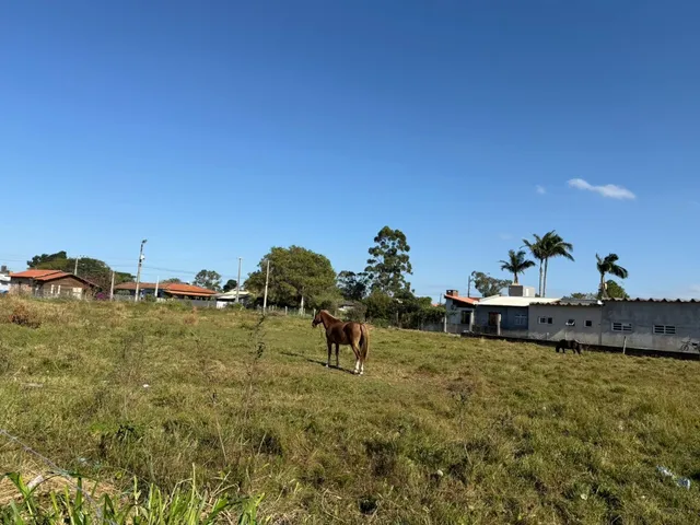 Imagem 10: Terreno à venda em Garopaba-SC, bairro Campo Duna, 456m² de área. Venha conhecer!