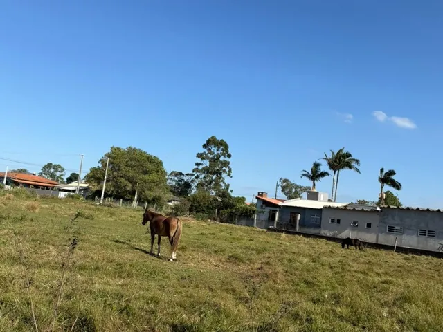 Imagem 14: Terreno à venda em Garopaba-SC, bairro Campo Duna, 456m² de área. Venha conhecer!
