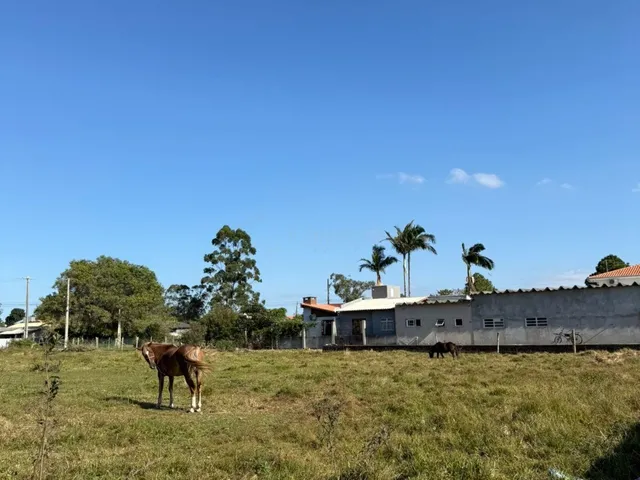 Imagem 3: Terreno à venda em Garopaba-SC, bairro Campo Duna, 456m² de área. Venha conhecer!