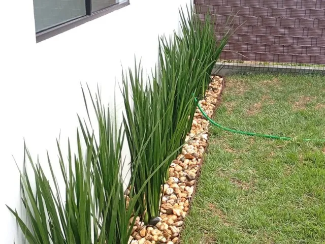 Imagem 12: 0 Casa com 2 dormitórios
