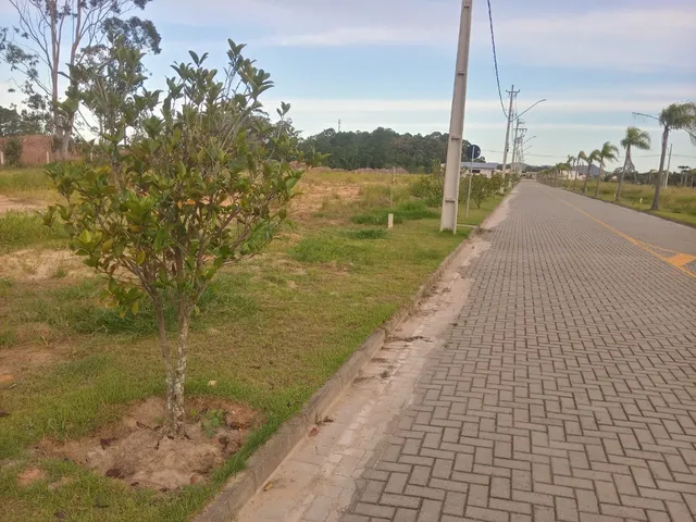 Imagem 4: Oportunidade Única: Terreno de 360m² em Garopaba-SC, pronto para construir!