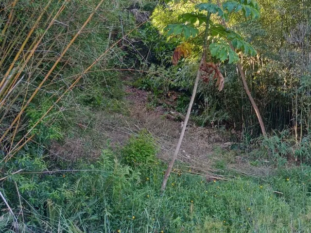 Imagem: TERRENO NA IBIRAQUERA COM VISTA DEFINITIVA