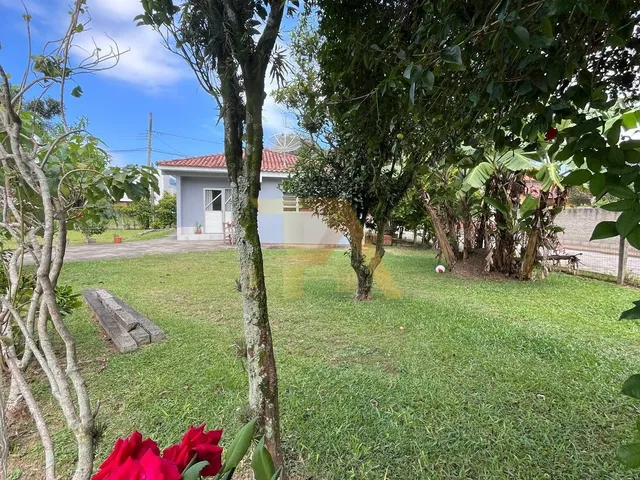 Imagem 11: Imperdível oportunidade de adquirir casa com 2 quartos, sala, banheiro, 5 vagas de