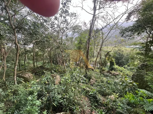 Imagem 2: Terreno amplo com matrícula no bairro Macacu em Garopaba