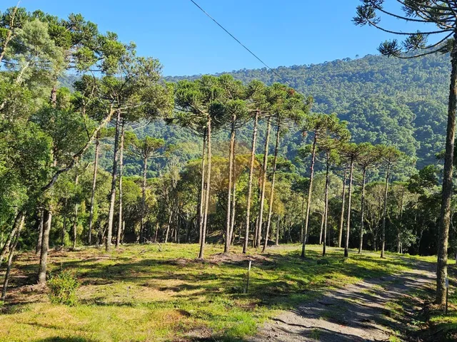 Imagem: Sitio à venda em Urubici-SC, Bairro Santa