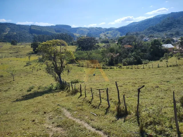 Imagem: Viva a Essência da Natureza no Villa Nature