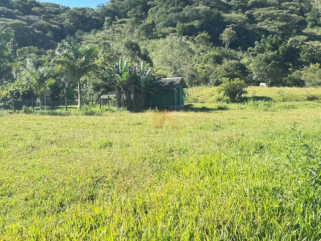Imagem 8: Terreno com 4.919m² e excelente metragem de frente e fundos