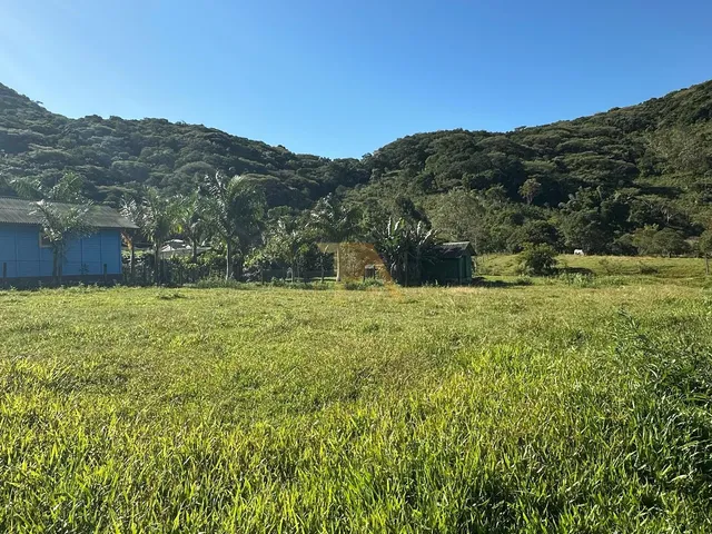 Imagem 5: Terreno com 4.919m² e excelente metragem de frente e fundos