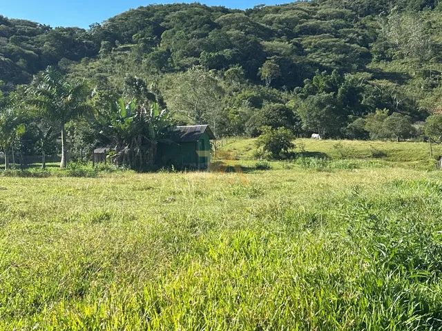 Imagem 11: Terreno com 4.919m² e excelente metragem de frente e fundos