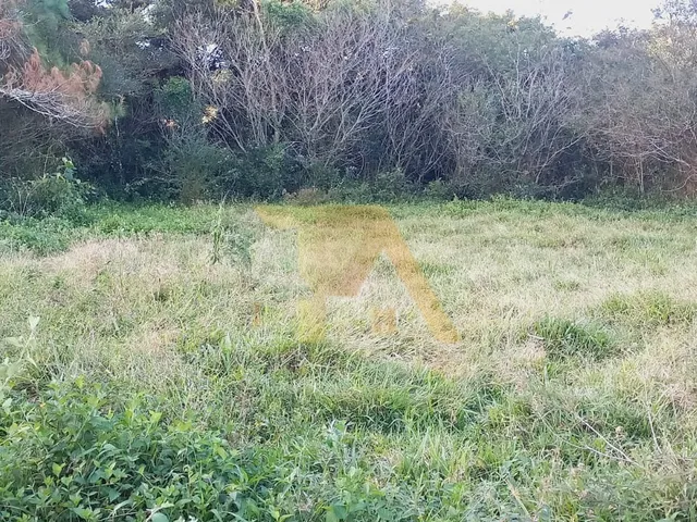 Imagem 2: Terreno com 1100m², topografia pronta e viabilidade
