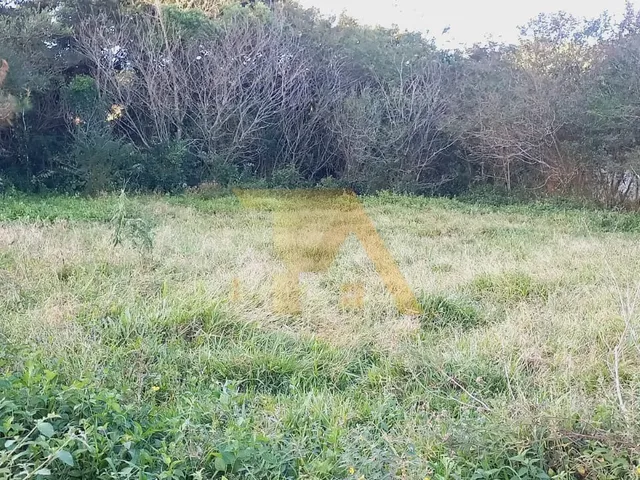 Imagem 4: Terreno com 1100m², topografia pronta e viabilidade