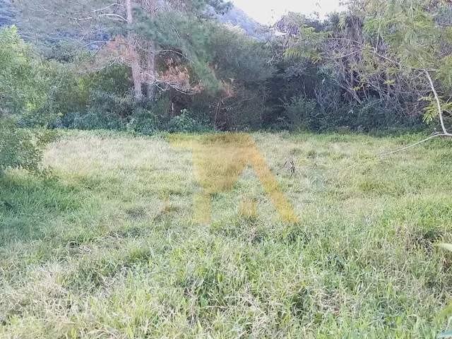 Imagem 5: Terreno com 1100m², topografia pronta e viabilidade