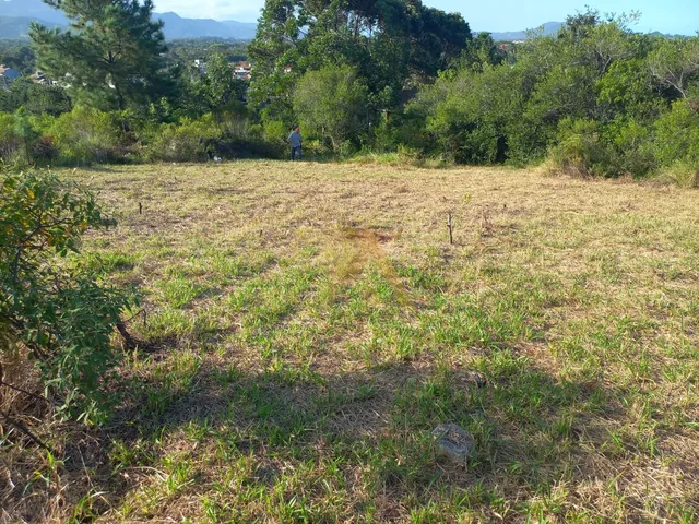 Imagem 3: Terreno de 700m² na Praia do Rosa com Matrícula e Financiável