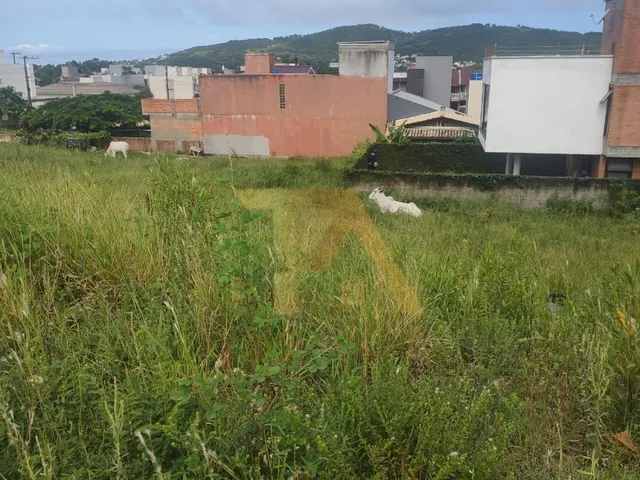 Imagem: Terreno de 299m² a 5 Minutos da Praia