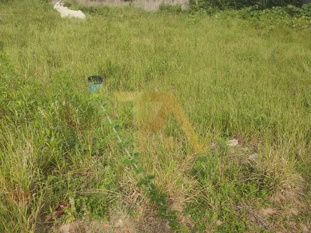 Imagem 2: Terreno de 299m² a 5 Minutos da Praia