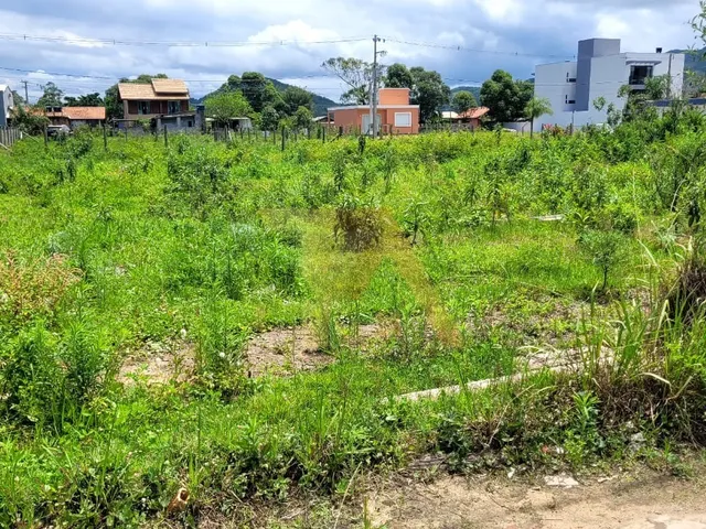 Imagem: Lote com 359,98 m² e Face Norte