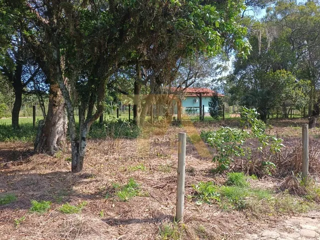 Imagem: Terreno de 300m² com Luz e IPTU