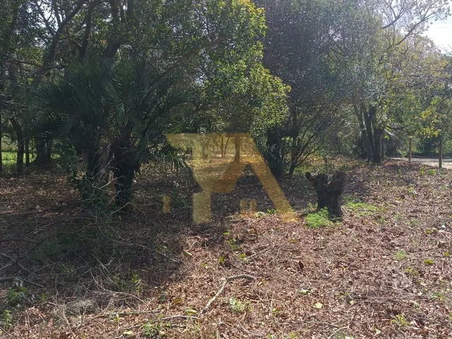 Imagem 9: Terreno de 300m² com Luz e IPTU