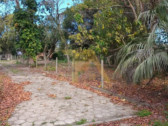 Imagem 10: Terreno de 300m² com Luz e IPTU