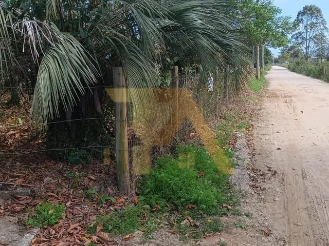 Imagem 2: Terreno de 300m² com Luz e IPTU