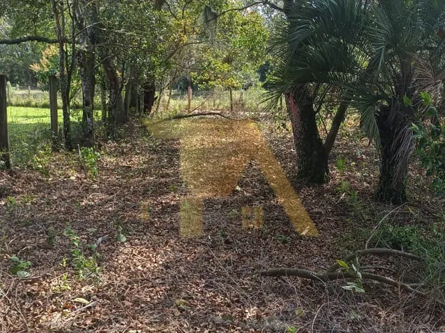 Imagem 4: Terreno de 300m² com Luz e IPTU