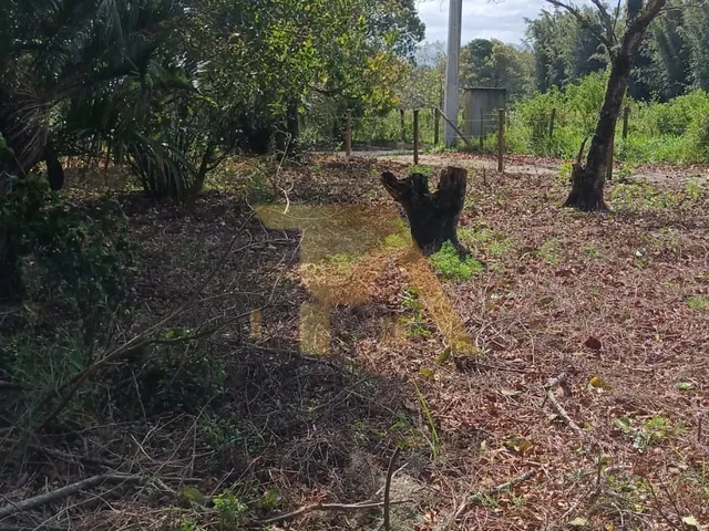 Imagem 7: Terreno de 300m² com Luz e IPTU