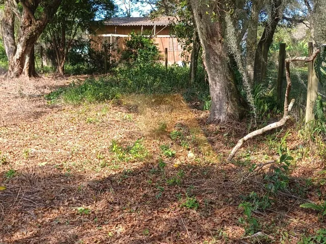 Imagem 3: Terreno de 300m² com Luz e IPTU